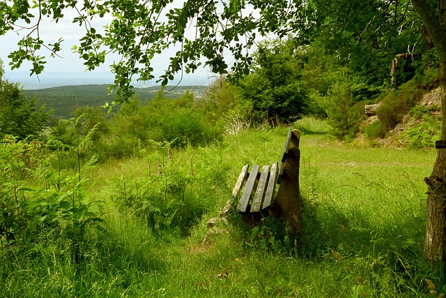 2025年上海合作组织雪地足球赛赛况.