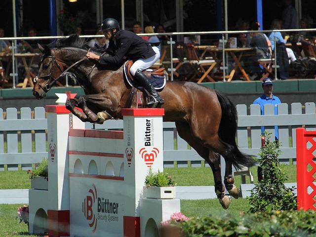 出色的防守 出色的防守