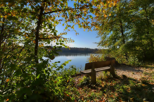 辅佐范迪克 辅佐范迪克